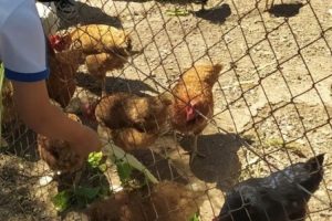 Projecte surt a la Natura