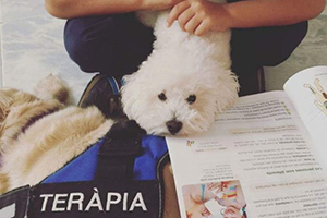 Teràpia amb gossos