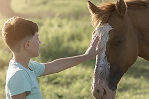 Teràpia amb cavalls. (c) Freepick