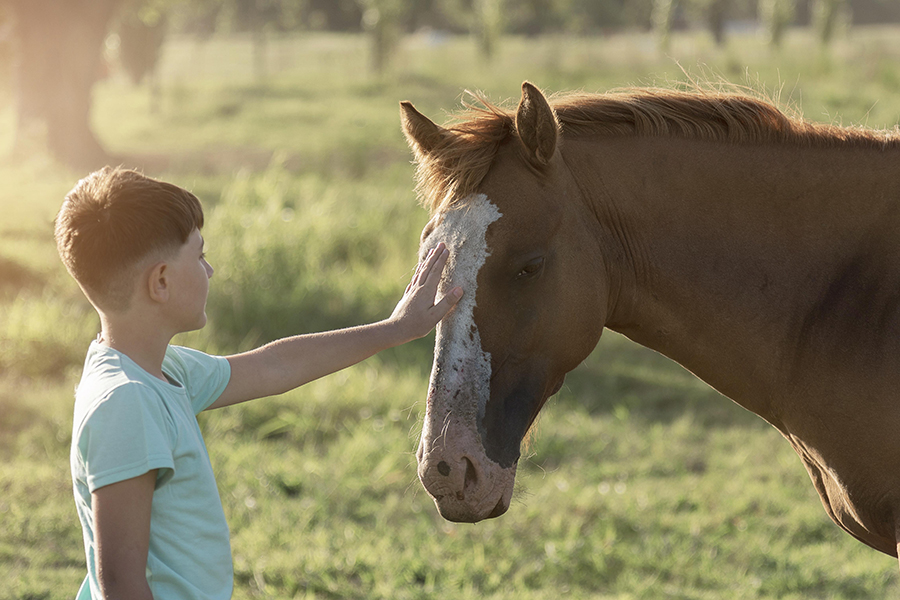 Teràpia amb cavalls. (c) Freepick